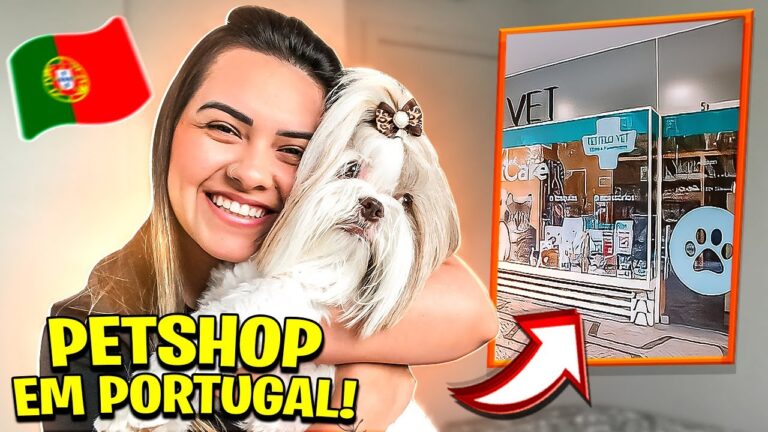 Melhores Pet Shops em Aveiro: Guia Completo para Pets Felizes