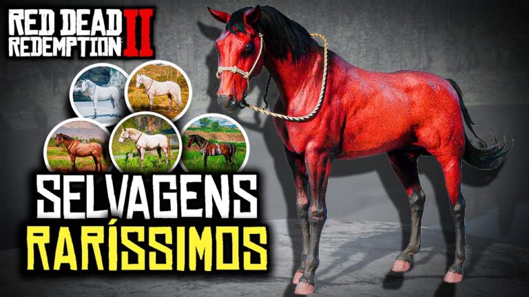 Os Melhores Locais para Encontrar Cavalos