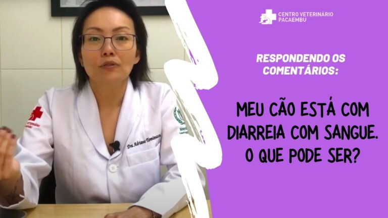 Fezes Gelatinosas com Sangue em Cães: Causas e Cuidados