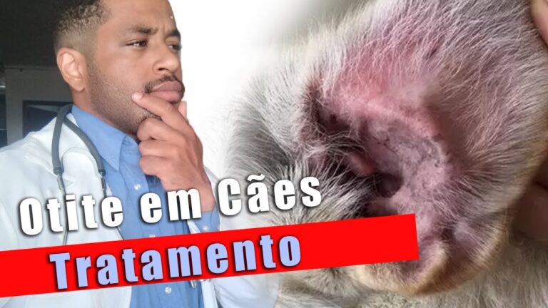 Tratamento Eficaz para Otite em Cães: Medicamentos Recomendados