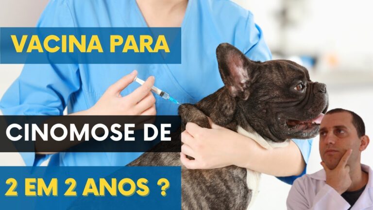 Vacina Contra Parvovirose: Importância e Eficácia