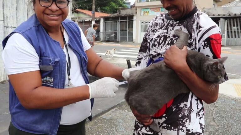 Onde Vacinar Meu Cão Gratuitamente: Guia Prático